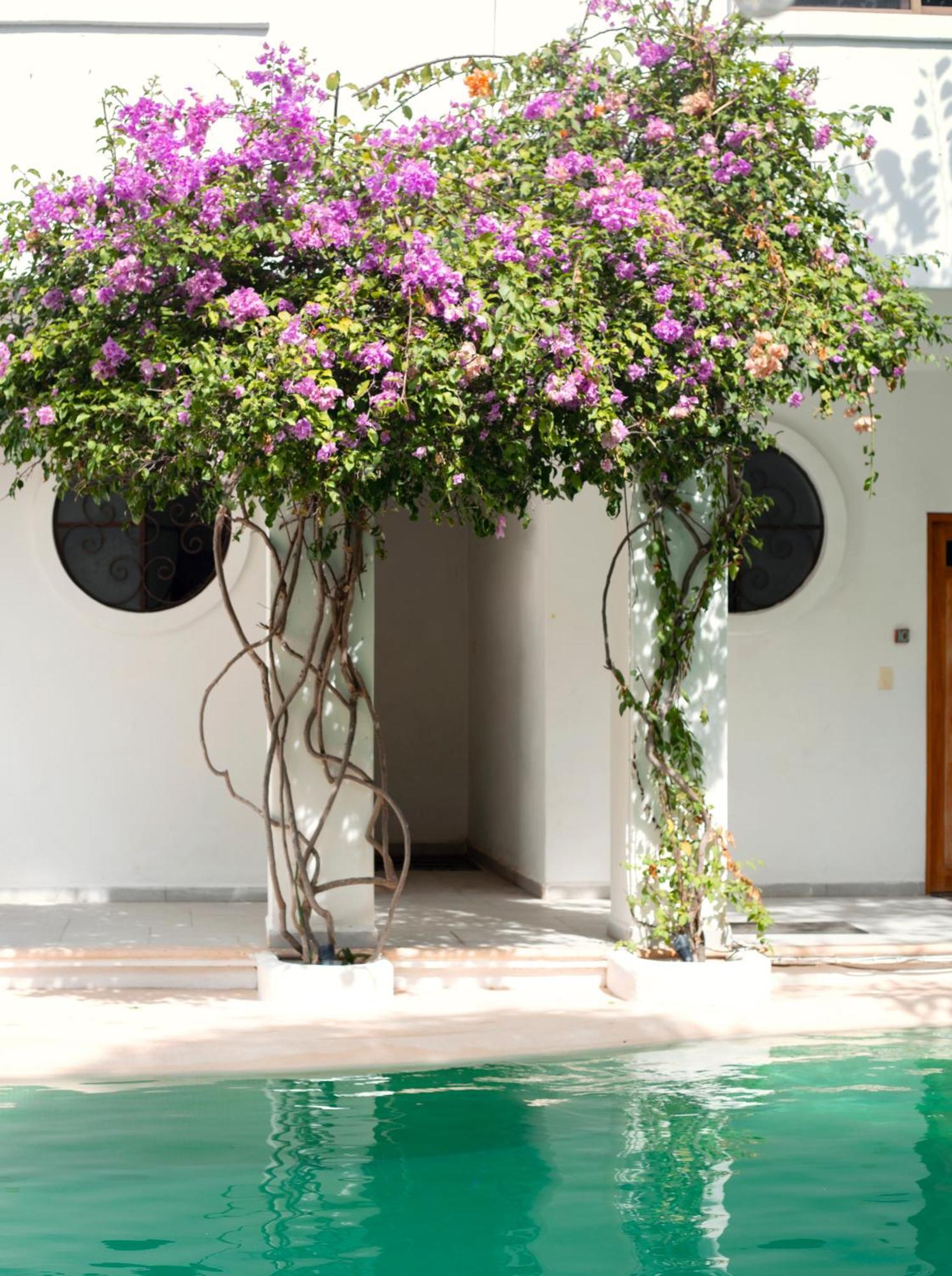 טולום Sonido Del Mar Hotel Boutique & Yoga Loft מראה חיצוני תמונה
